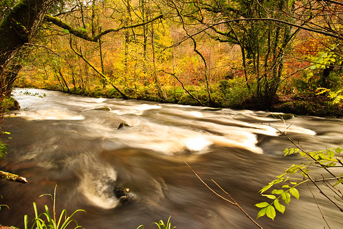 longexposure autumn colour yellow river landscape nationalpark whitewater devon le dartmoor russet teign turbulent