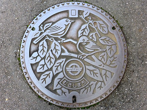 bird tree musashi oita japan manhole