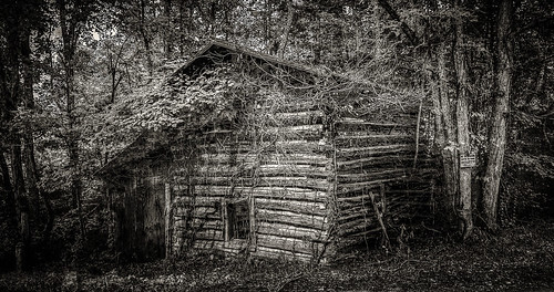leica bw barn rural rustic logbarn bobbell pittsylvania kentuckyphotographer sandylevel