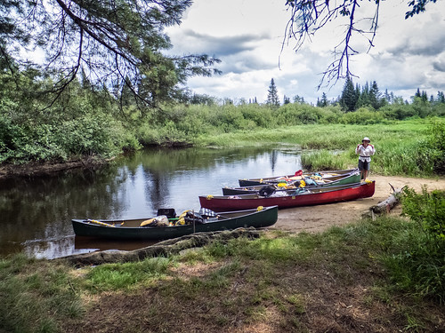 people plant ny water grass sport river us jean canoe oswegatchieriver