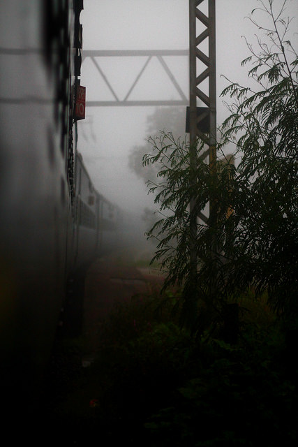 track8, lush greenery is seen opposite the train, from the side, the sign, S10 is seen
