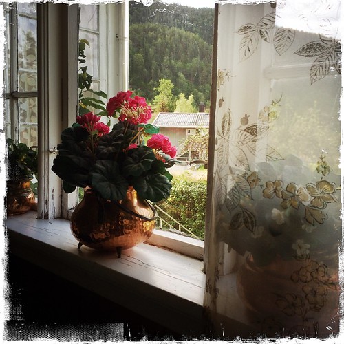 flower window blomst potte vindu gardin blomsterpotte hipstamatic vinduspost hipstamatic280