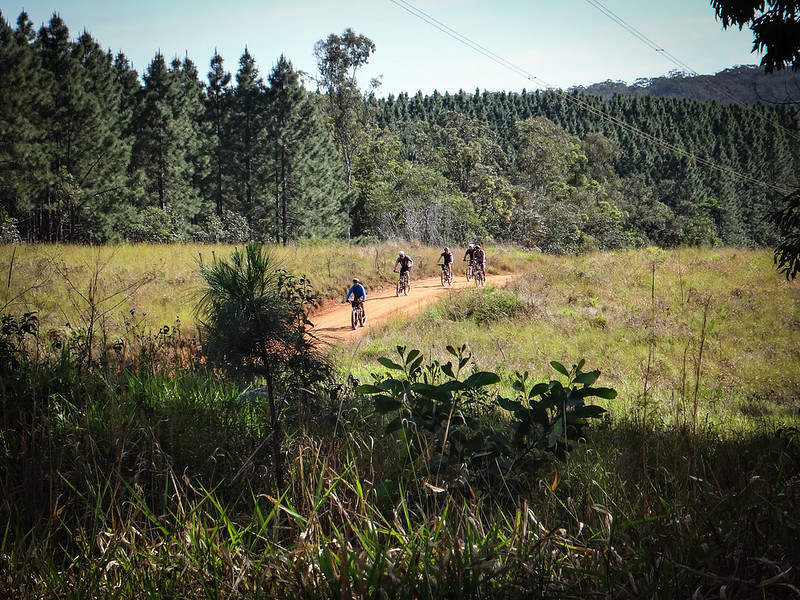 Riders in the distance