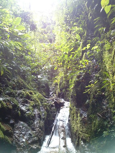 forest trekking waterfall selva canyon perú jungle caminata catarata junín cañón cañon lamerced 2015 chanchamayo selvacentral selvaalta