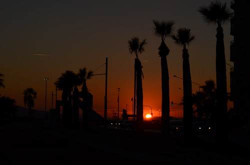 sunset sun turkey turquia puestadelsol palmas backlight izmir light luz landscape outdoor