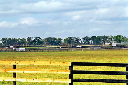field grass rural florida farm fences pasture ocala