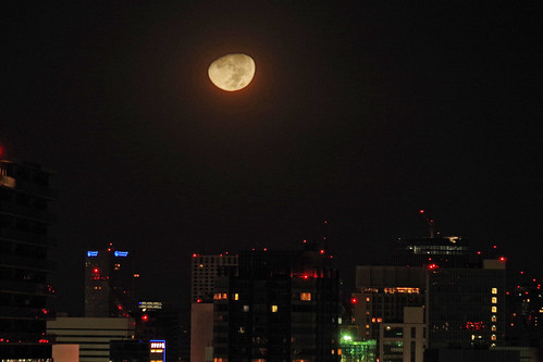 moon light mid-night
