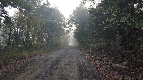 oklahomanature trees farm prairie october fog haunted leaves fall rock road