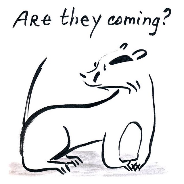 Badger is worried... #inktober #inktober2015 #badger #badgerlog #kuretake #kuretakeinktober #usa