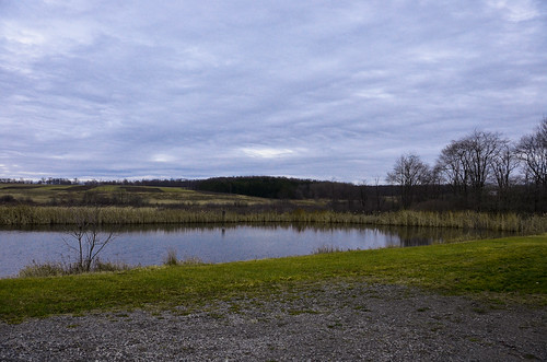 Horizon View Farms - Pond