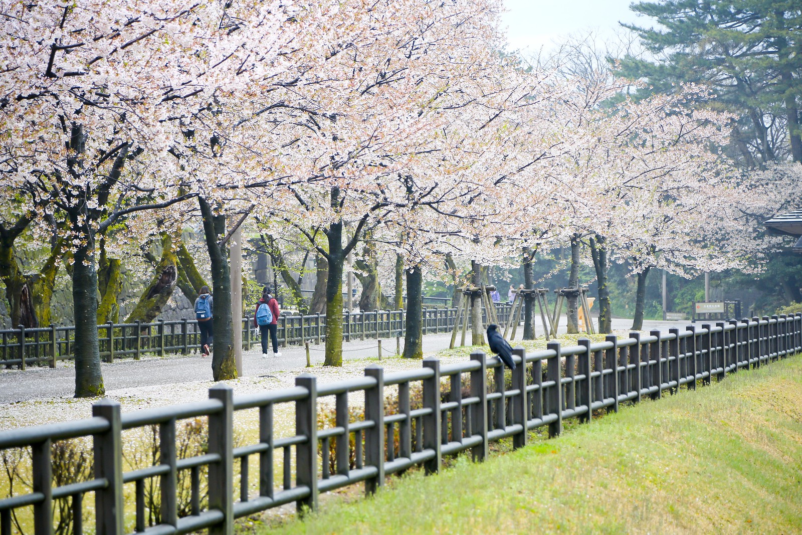 Kanazawa Castle Park 金澤城公園