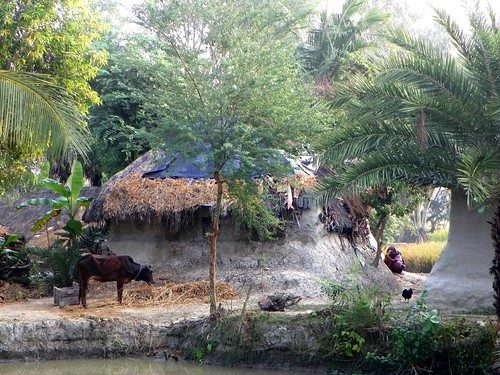 india architecture rural work countryside thatchedroof agriculture bengal westbengal 2015 sundarbans
