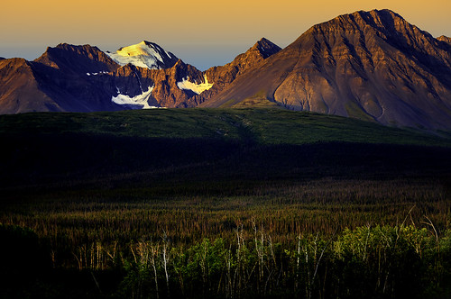 canada mountains sunrise meadow spruce hainesjunction alcanhighway yukonterritory mtmartha
