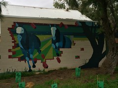 Horse mural in South Fremantle