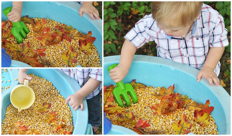 Water Table Play for Fall