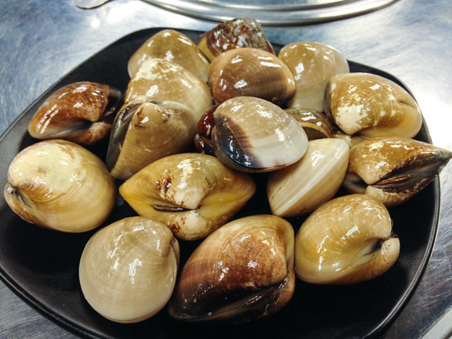 shinchon-clams