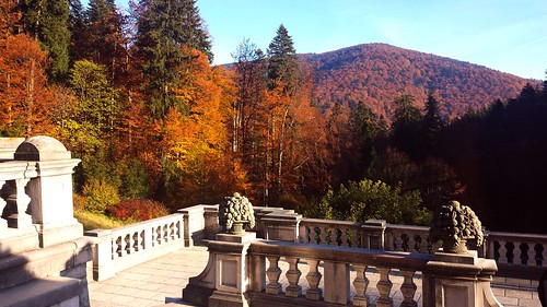 terrace autumncolors sinaia pelescastle bucegimountains