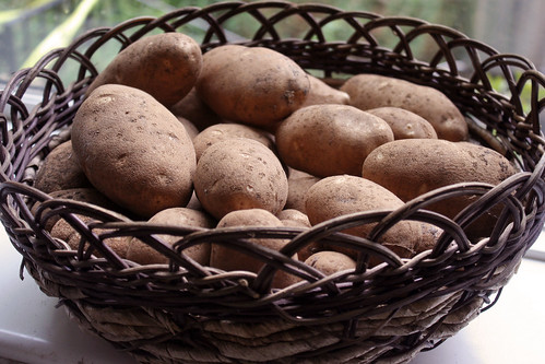potatoes in a basket IMG_4129