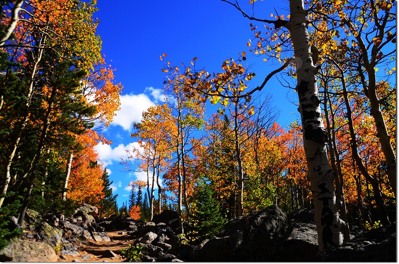 2015 Rockies in Fall, Bear Lake Area (17)