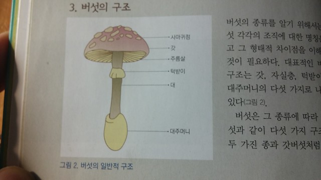 독서노트-버섯생태도감