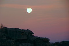 Morning Desert Moon