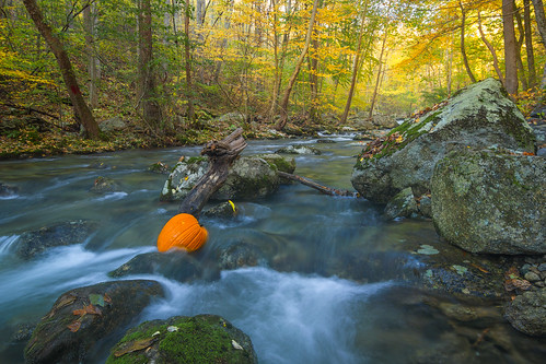 autumn fall water river pumpkin virginia us long exposure unitedstates tye tyro