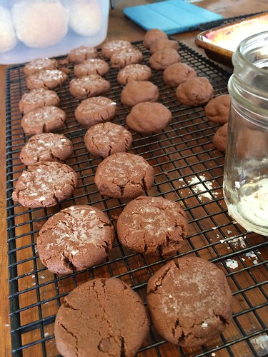 Chocolate Mint Shortbread. These will be frosted with mint frosting and drizzled with chocolate the day before our open house. For now, they go into the freezer.