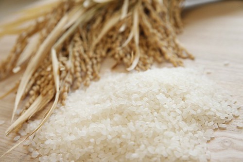 稲と白米 by photoAC