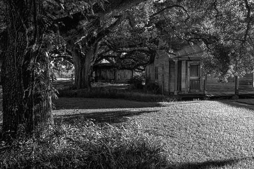 blackandwhite house tree abandoned monochrome oak louisiana unitedstates samsung smartphone bayou android larose bayoulafourche lafourcheparish galaxys4