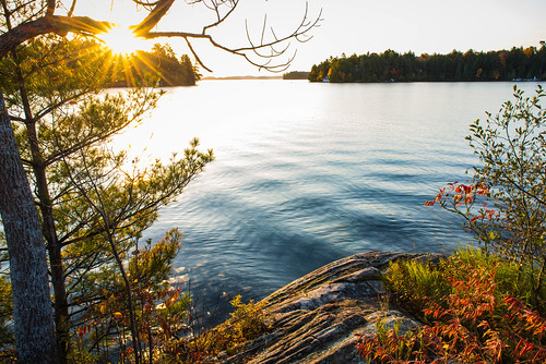 ca autumn lake ontario canada fall sunrise outside nikon muskoka lakerosseau rosseau portcarling d610 nikond610