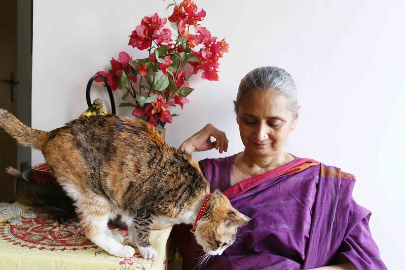 Mission Delhi - Sufi the Cat, Mehrauli