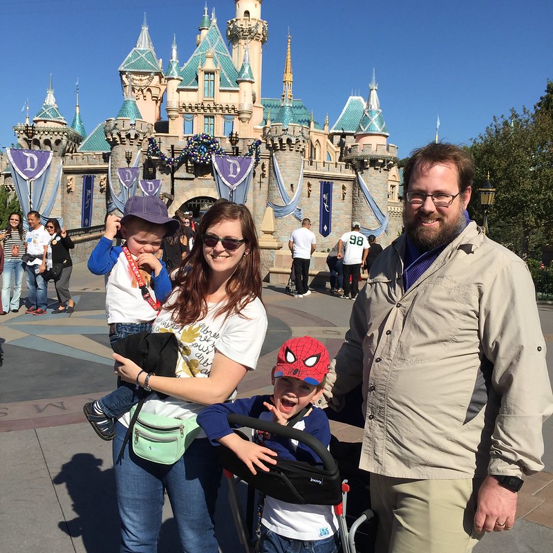 Disneyland 2015