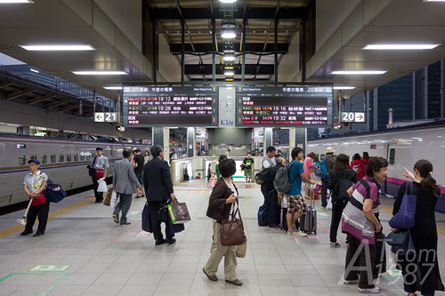 Tokyo Station Shinkansen Platform