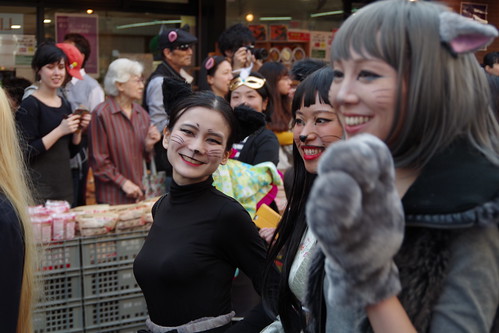 Cat's Halloween Parade in Kagurazaka 2015 14
