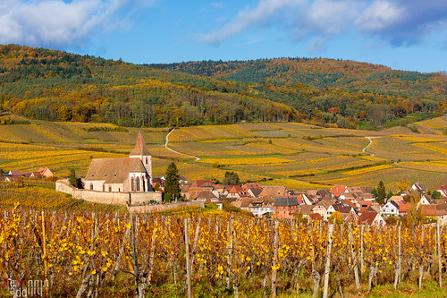 france nature automne village alsace type temps eglise vigne flore themes hunawihr lieu ouvrage religieu paysagesdalsace