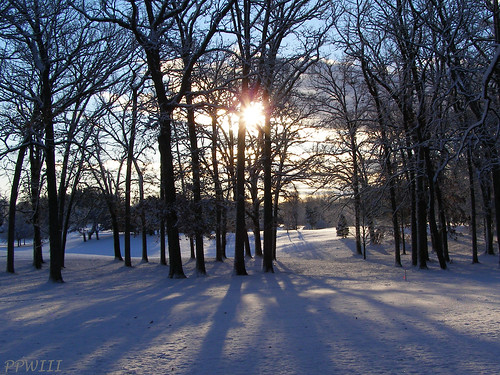 trees sun snow cemetery golf woods grandrapids fairway indiantrails