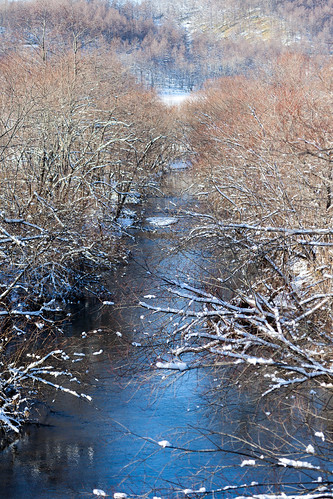 trees winter wild snow water japan river landscape outdoors hokkaido outdoor branches akan jpn wintery hokkaidō kushiroshi