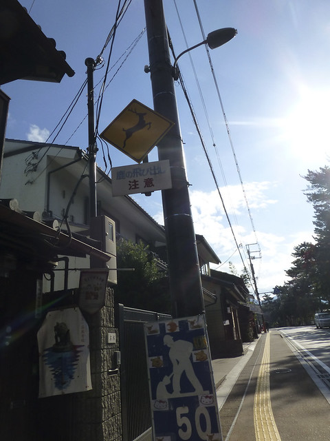 Konichiwa Japón: nuestro segundo viaje 23497200712_51a9222c1e_z