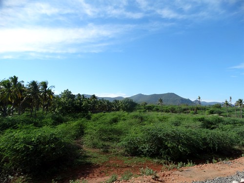 india mamallapuram trainridetomamallapuram