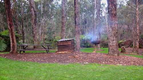 trees grass table lunch bush picnic smoke lawn bark barbeque shrubs westernaustralia araluen leaflitter gumtrees woodbox botanicalpark