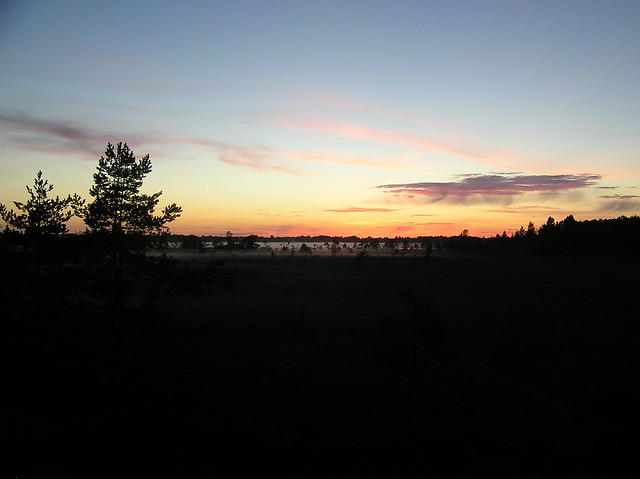 Koigi Bog, Saaremaa