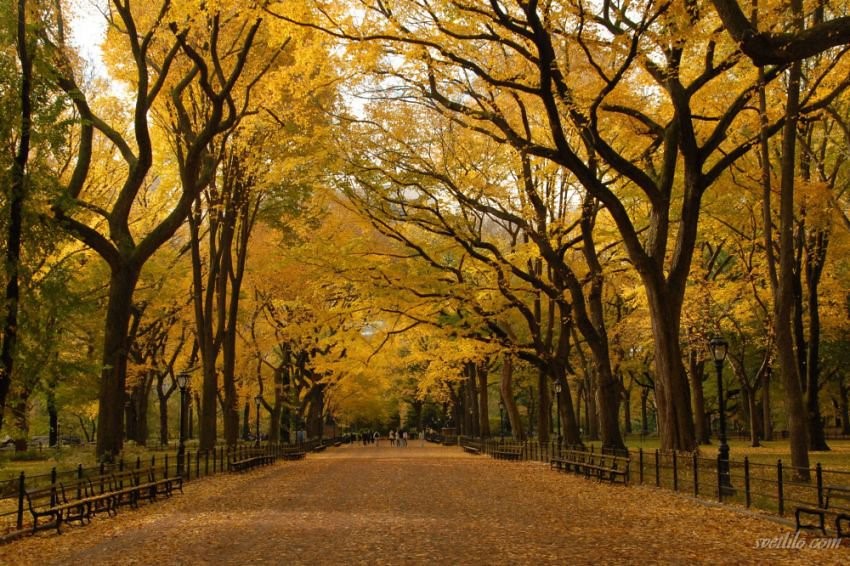 Златната есен в цялата й прелест