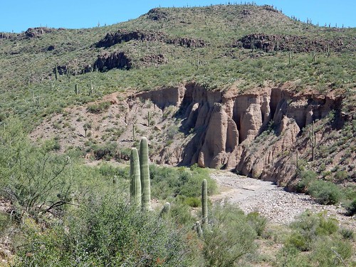 2015 arizona cacti camnikoncoolpixs9700 desert flickr galiuromountains gps landscapes mountains pinalcounty saguarocactuscarnegieagigantea sanpedrorivervalley usa unitedstatesofamerica