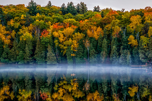 cottage autumn colors water fog