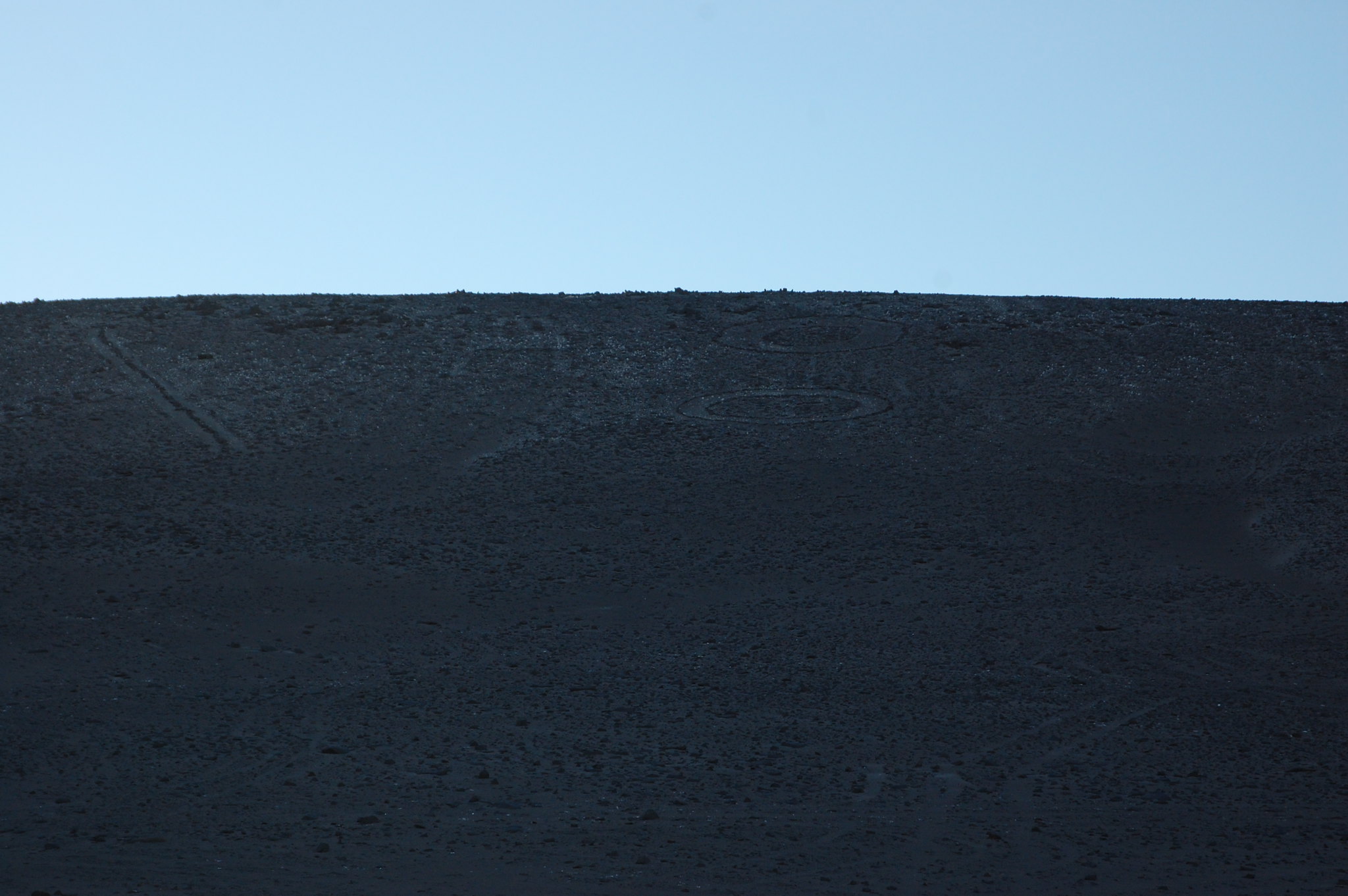 Gigante de Atacama, near Iquique, Tarapacá, Chile
