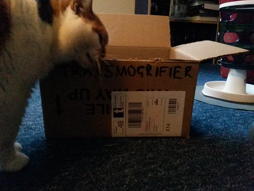 How am I meant to transmogrify the cats if they won't go in the transmogrifier?