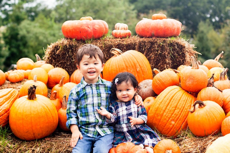cute & little blog | pumpkin patch