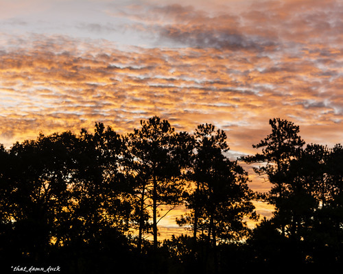 sc nature clouds sunrise dawn unitedstates southcarolina