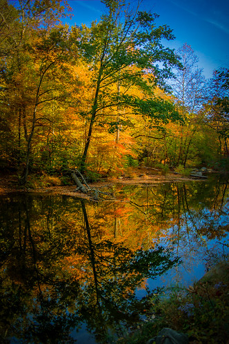 blue panorama reflection tree green fall nature water leaves yellow creek landscape photography log flickr time samsung adobe hdr lightroom frenchcreek dcsaint lr5 nx30 photomatixessentials panoramainsamsungnx30 boyertownphotographyenthiasts