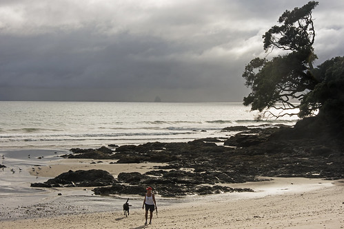 ocean sea newzealand dog seascape storm tree beach walking landscape person bay coast seaside pacific cloudy cove shoreline rocky stormy shore nz northland bream waipu lisaridings fantommst